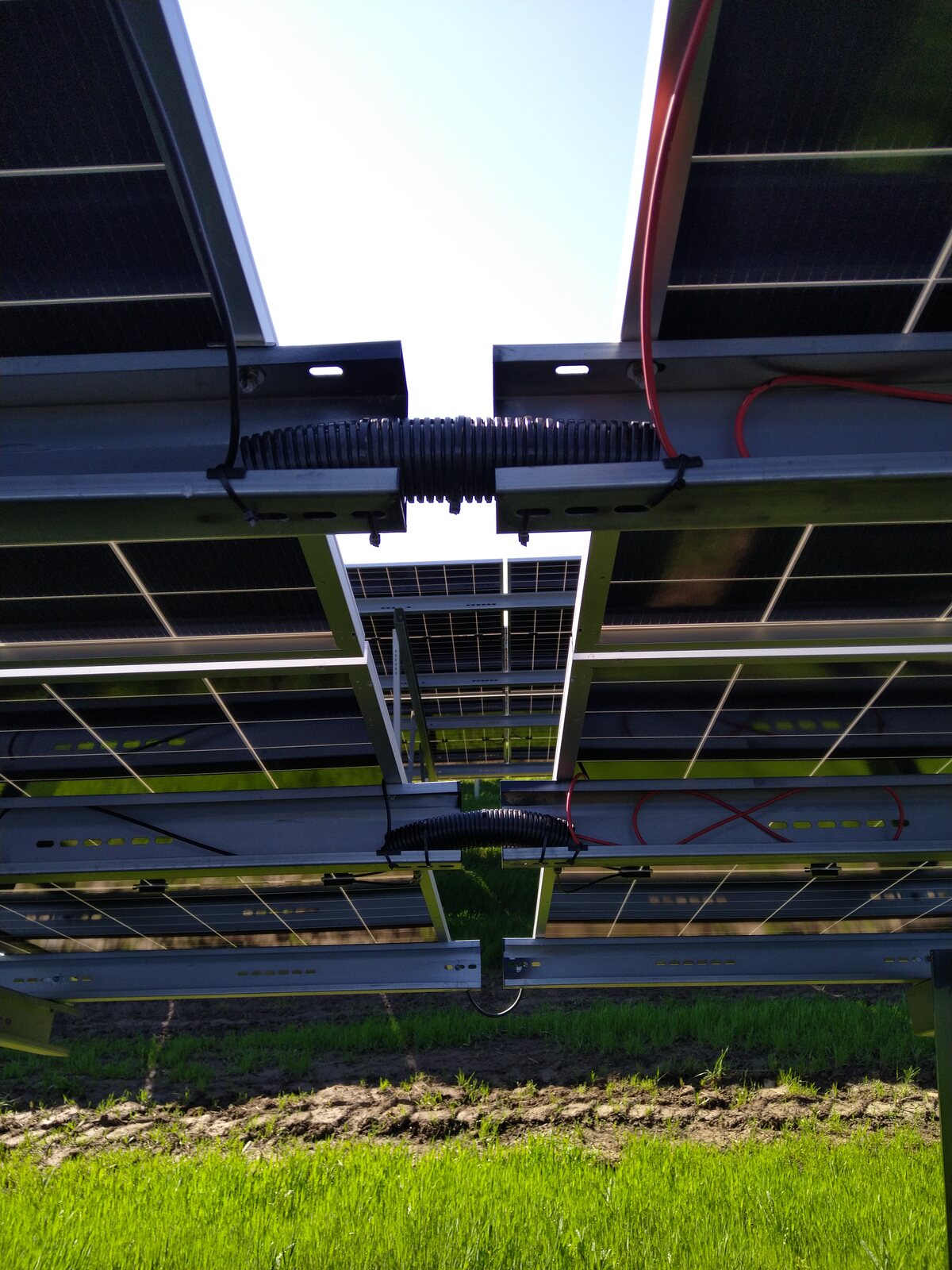 Back-side PV module and cabling detail in western Romania